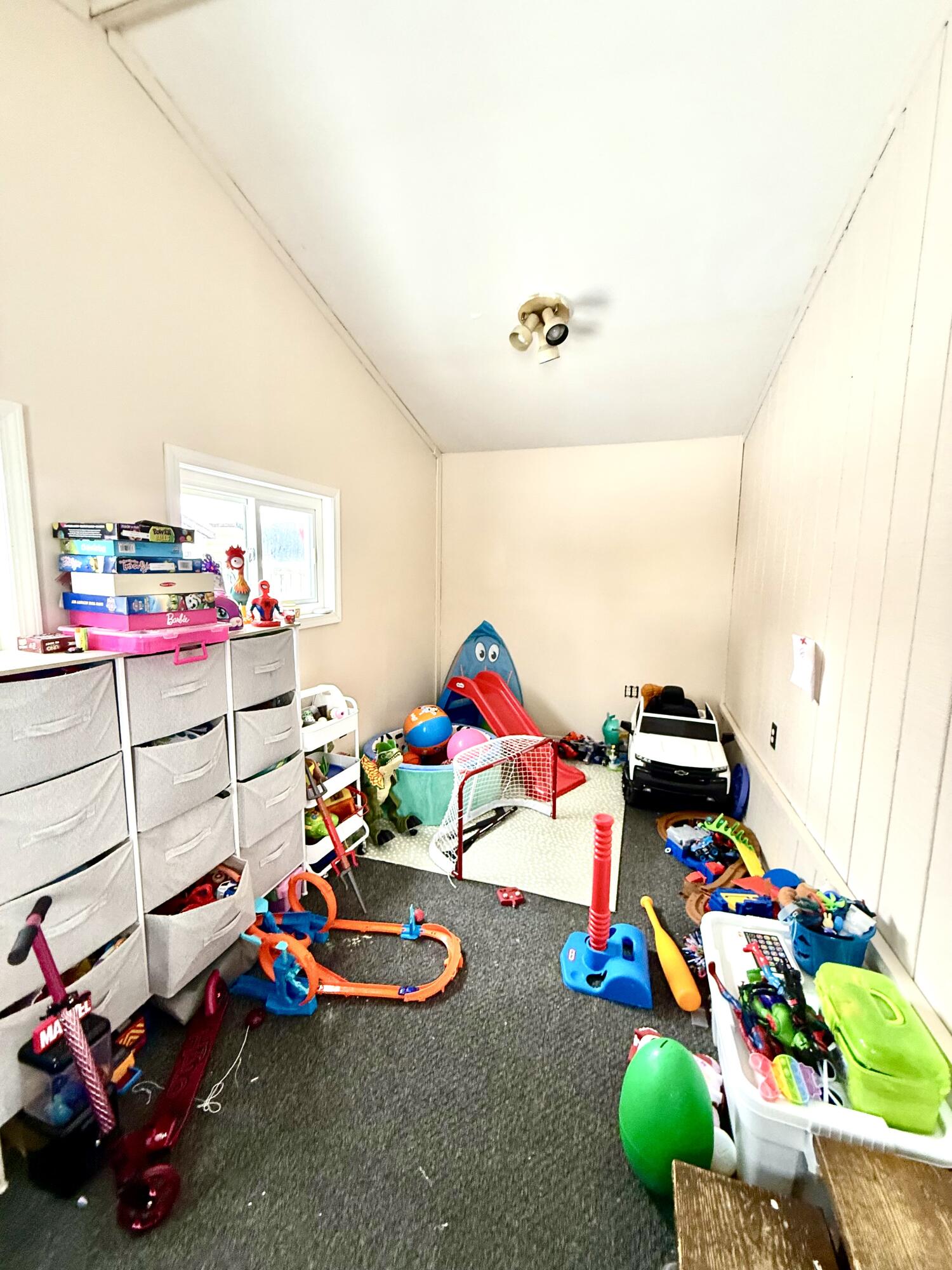 720 Ray Street Kalamazoo, MI 49048 - Photo 17 of 20 IMG_3256