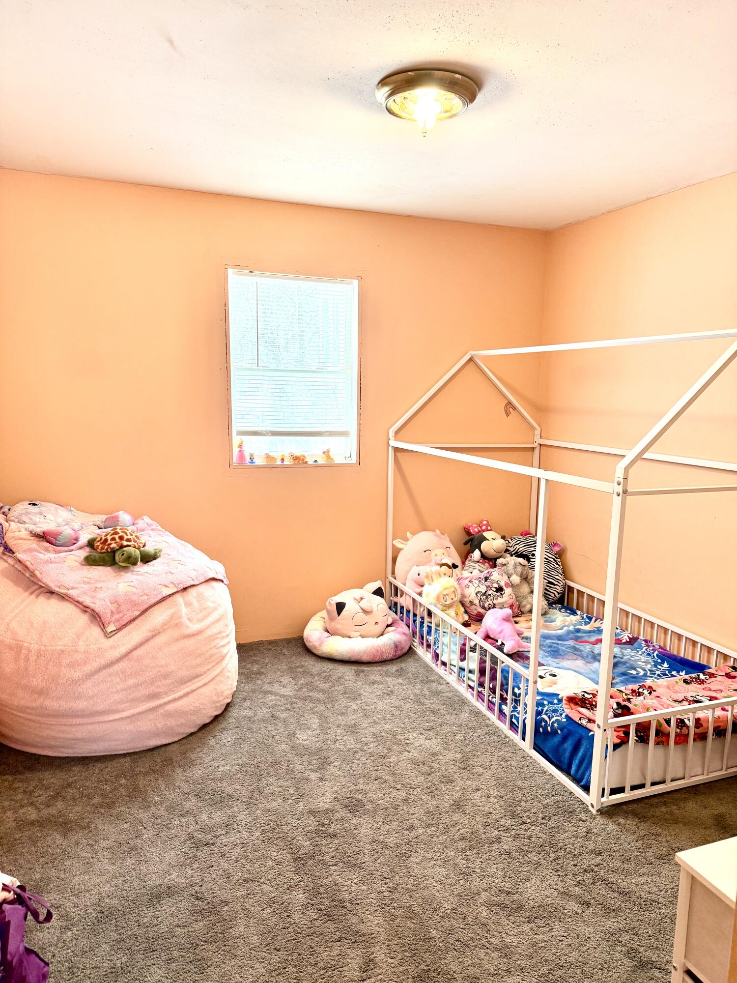 720 Ray Street Kalamazoo, MI 49048 - Photo 7 of 20 IMG_3248