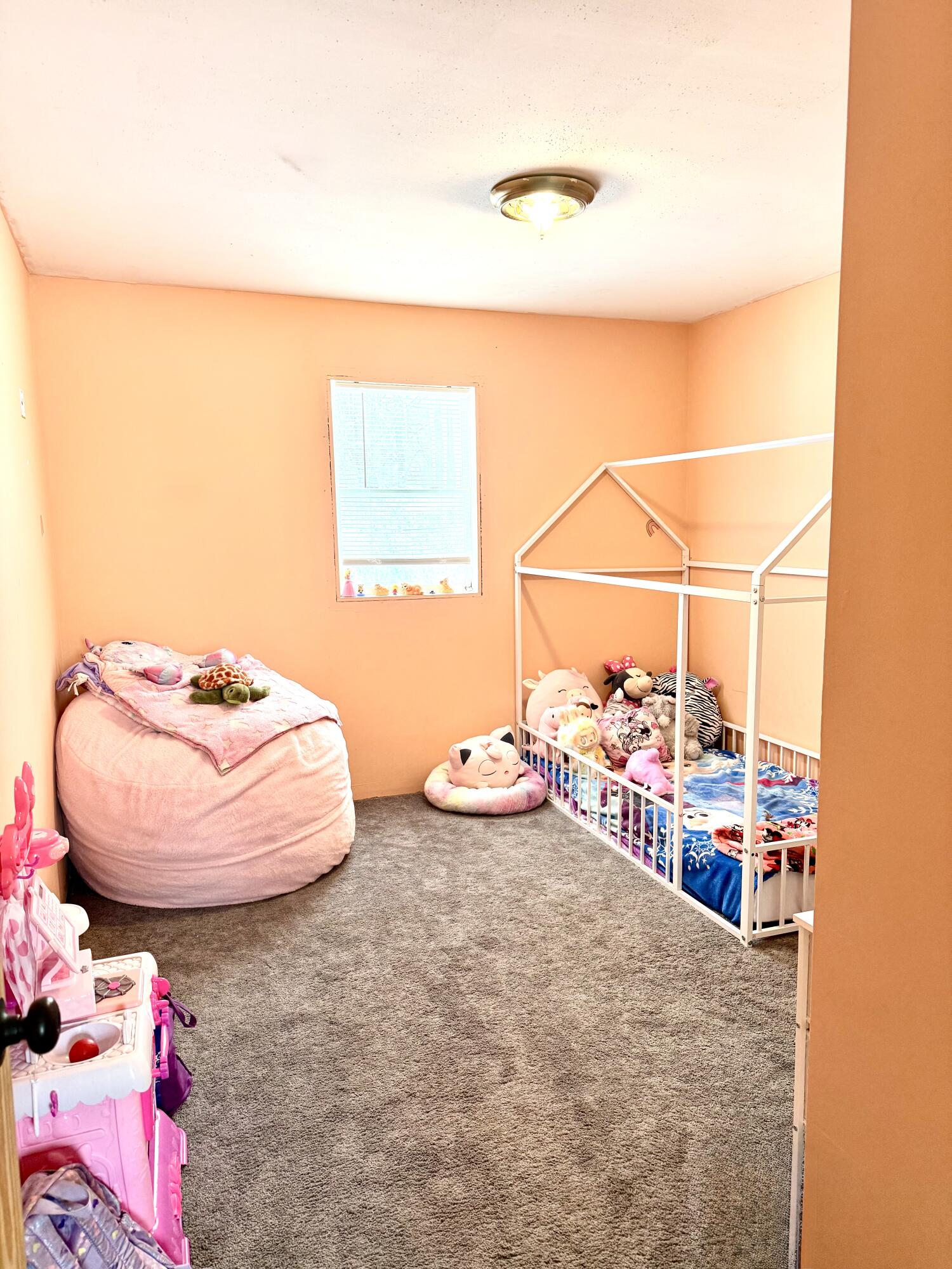 720 Ray Street Kalamazoo, MI 49048 - Photo 8 of 20 IMG_3249