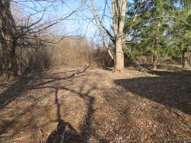 4257 Reimer Road Barberton, OH 44203 - Photo 7 of 26