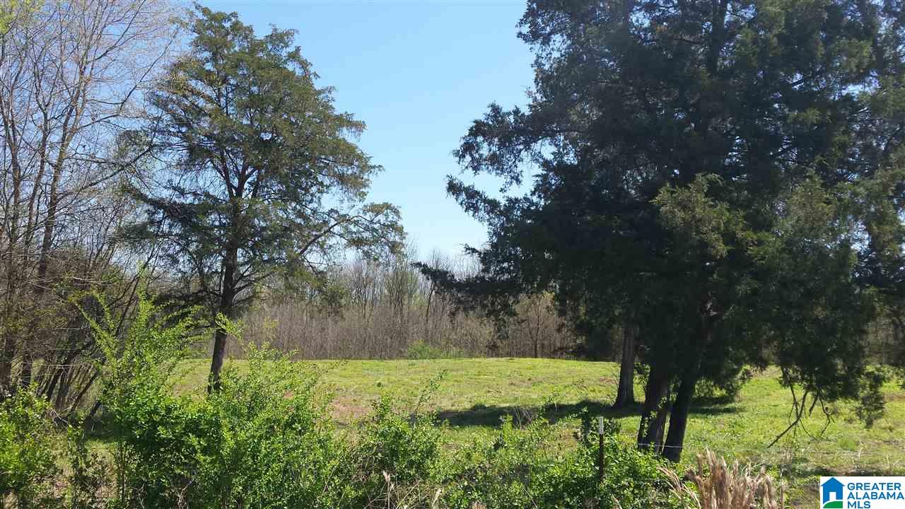 Double Bridge Road, Unit 16 Steele, AL 35987 - Photo 18 of 44