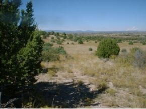 0 Dillon Wash Road Prescott, AZ 86305 - Photo 1 of 2 a view of a lake with a mountain in the background