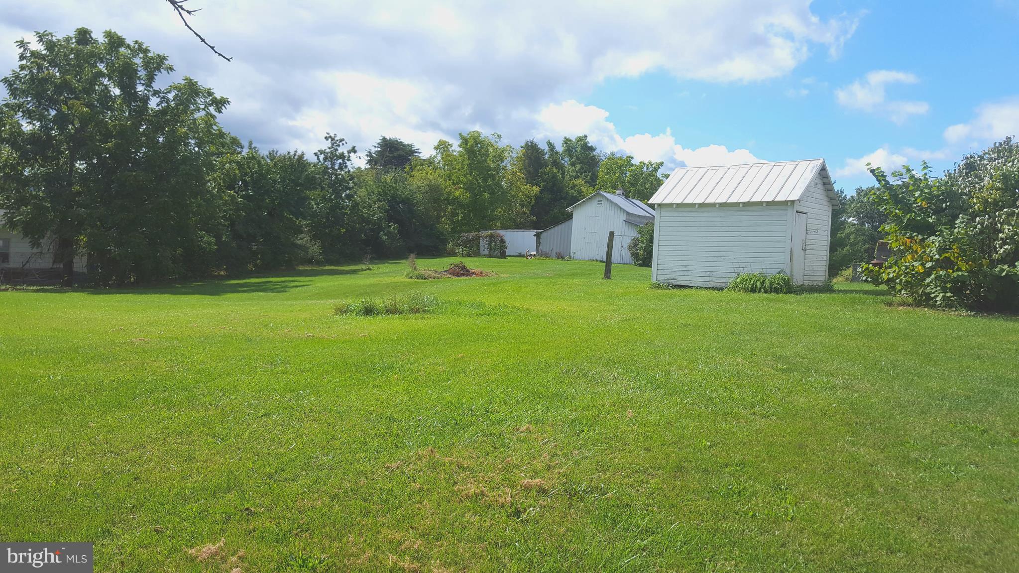 534 Punch Run Road Front Royal, VA 22630 - Photo 24 of 27 a backyard of a house with plants and large trees