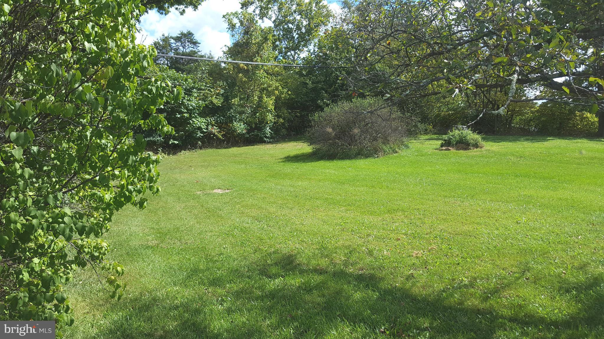 534 Punch Run Road Front Royal, VA 22630 - Photo 26 of 27 a backyard of a house with lots of plants and tree