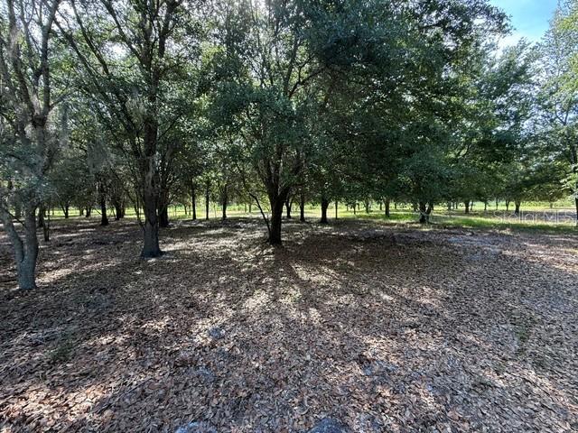 7214 Oil Well Road Clermont, FL 34714 - Photo 12 of 16 a view of outdoor space with lots of trees