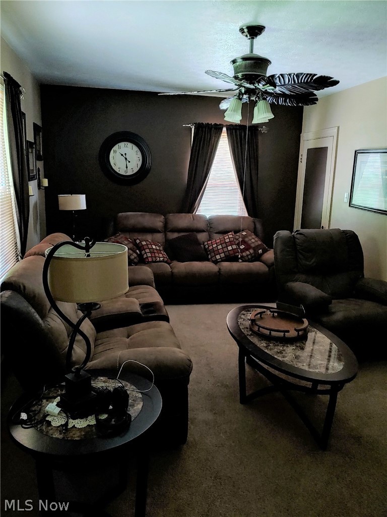 4568 South Raccoon Road Canfield, OH 44406 - Photo 2 of 9 Gallery Image 2