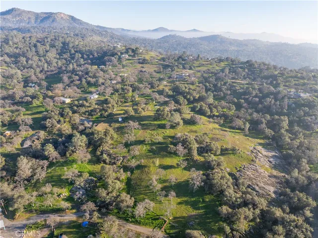 a close up of a tree