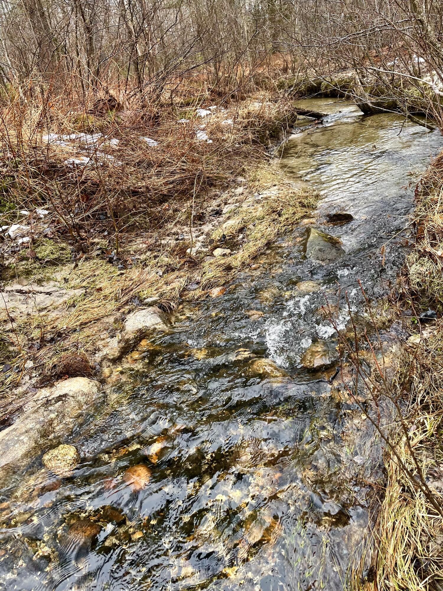 278 Black Mountain Road Sumner, ME 04292 - Photo 4 of 7 stream