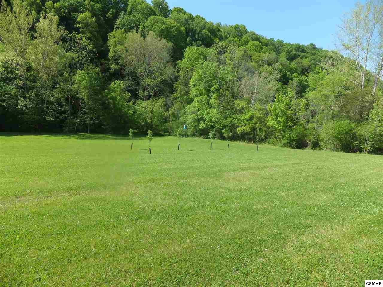 889 Marshall Hollow Road Bybee, TN 37713 - Photo 11 of 24 Gallery Image 11