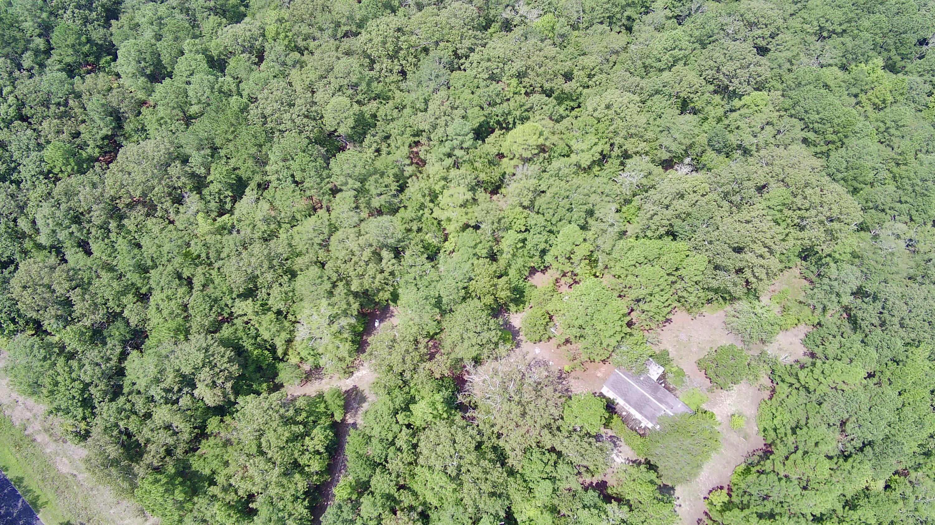 723 Bethcar Church Road Wagener, SC 29164 - Photo 5 of 16