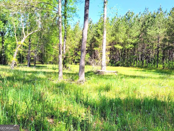 $797,500 | 80 Highway, Culloden, GA 31016