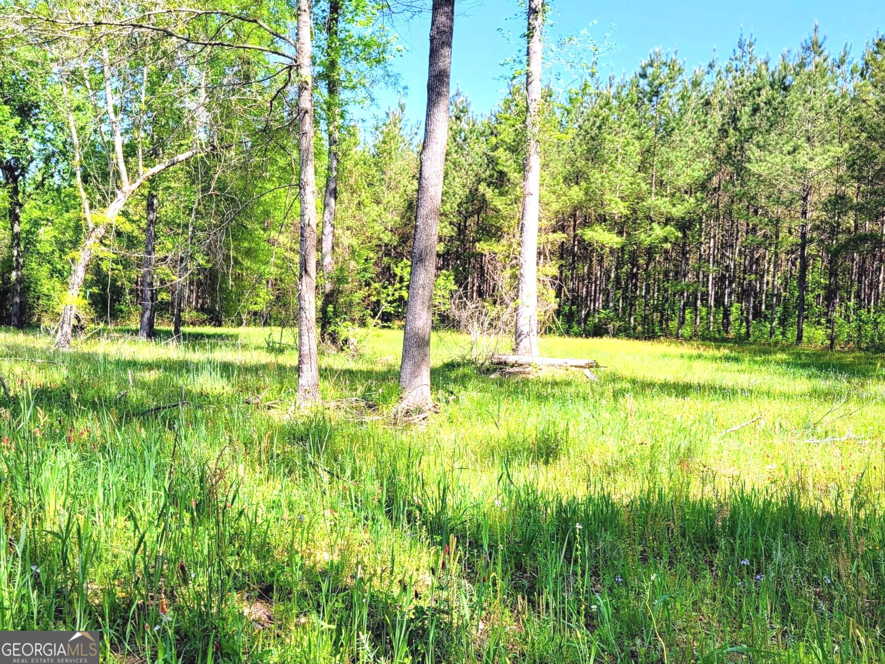80 Highway Culloden, GA 31016 - Photo 11 of 104