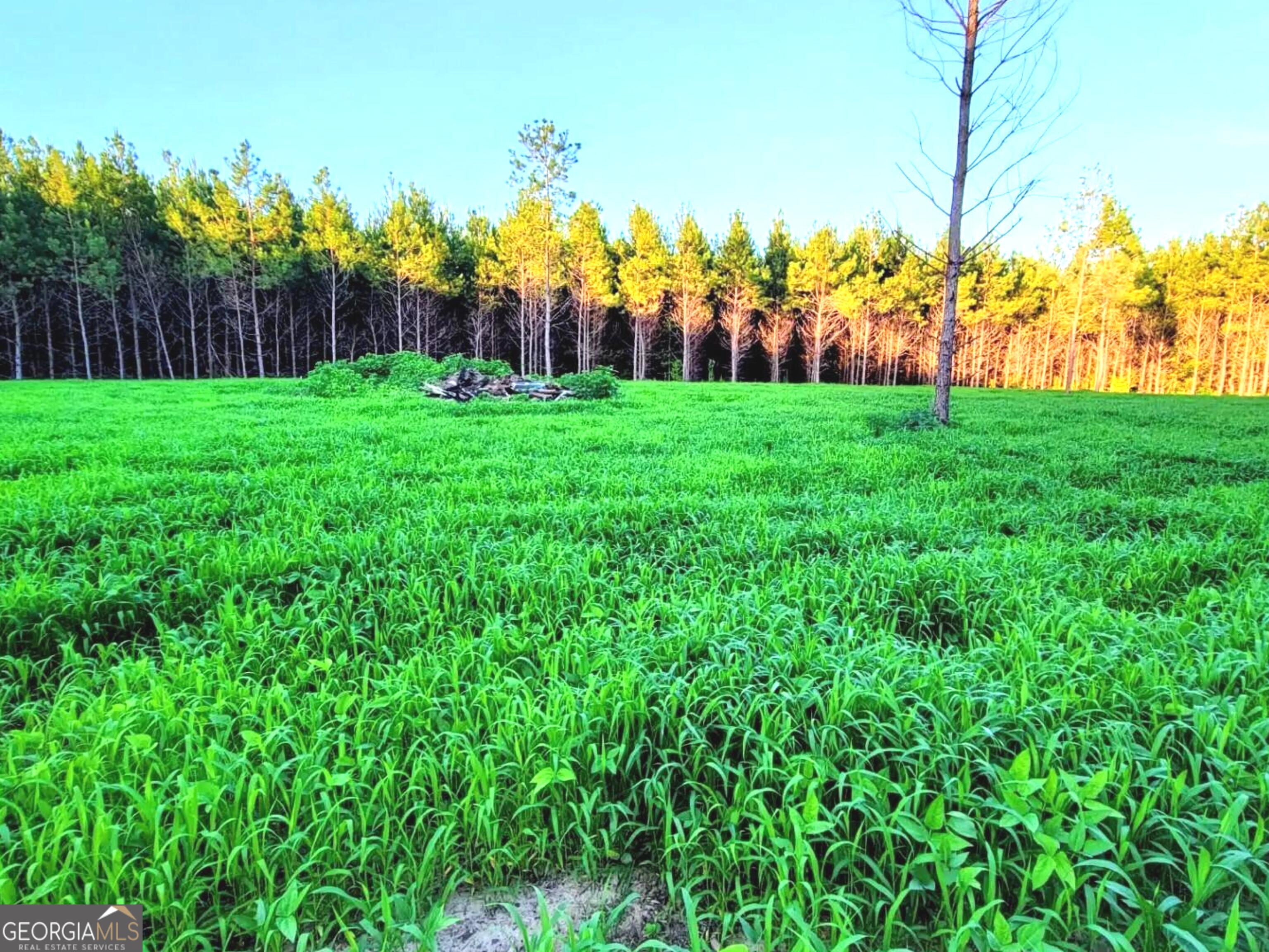 80 Highway Culloden, GA 31016 - Photo 13 of 104