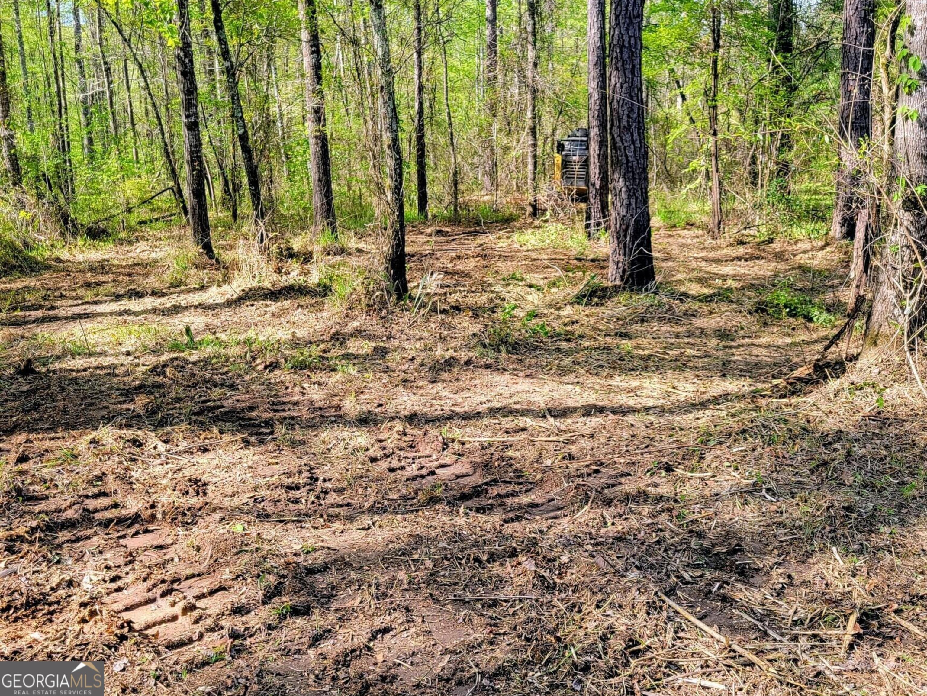 80 Highway Culloden, GA 31016 - Photo 16 of 104