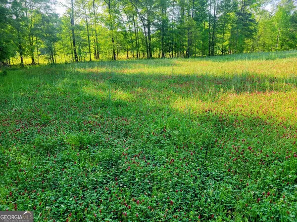 $797,500 | 80 Highway, Culloden, GA 31016