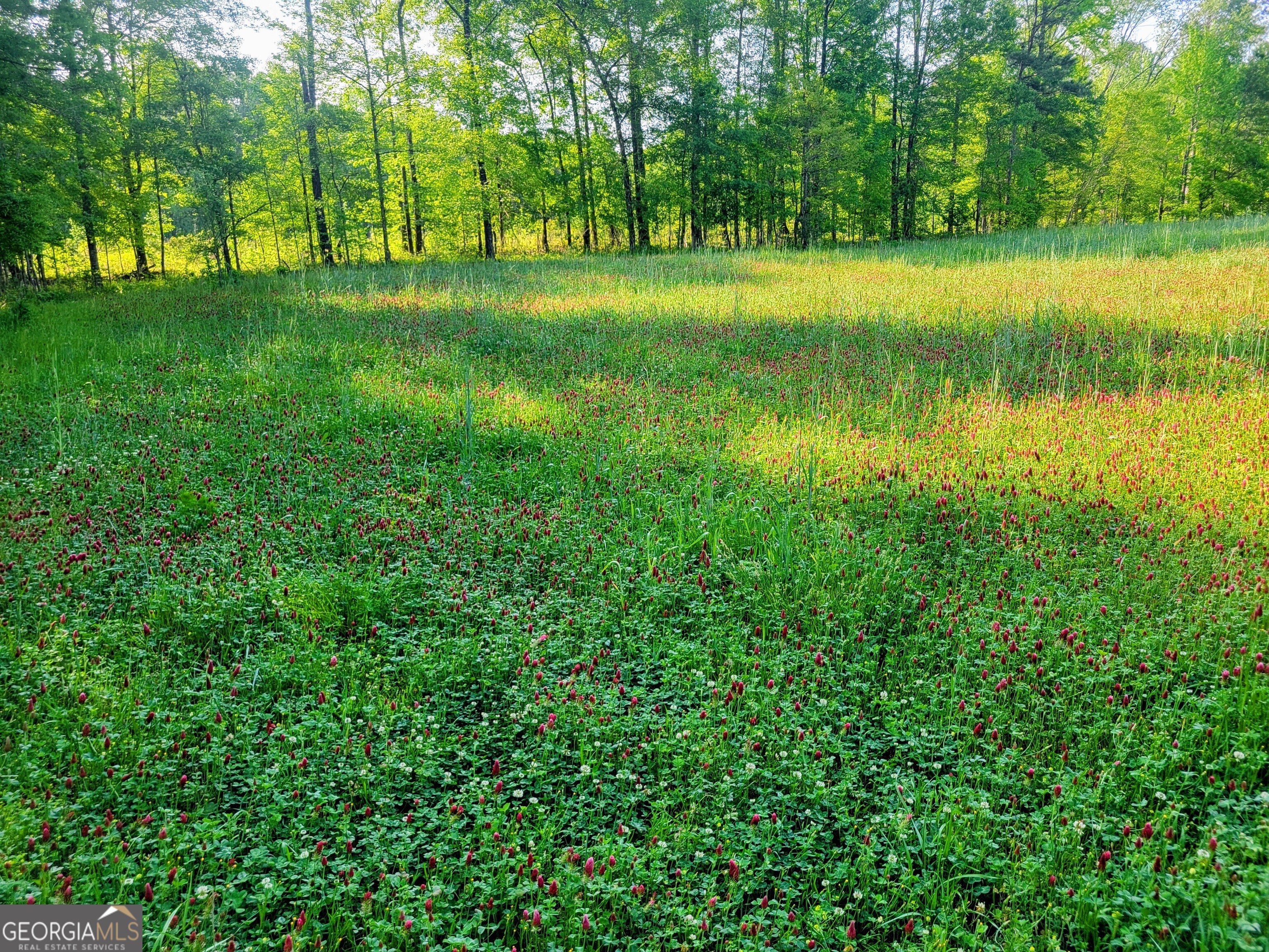 80 Highway Culloden, GA 31016 - Photo 33 of 104