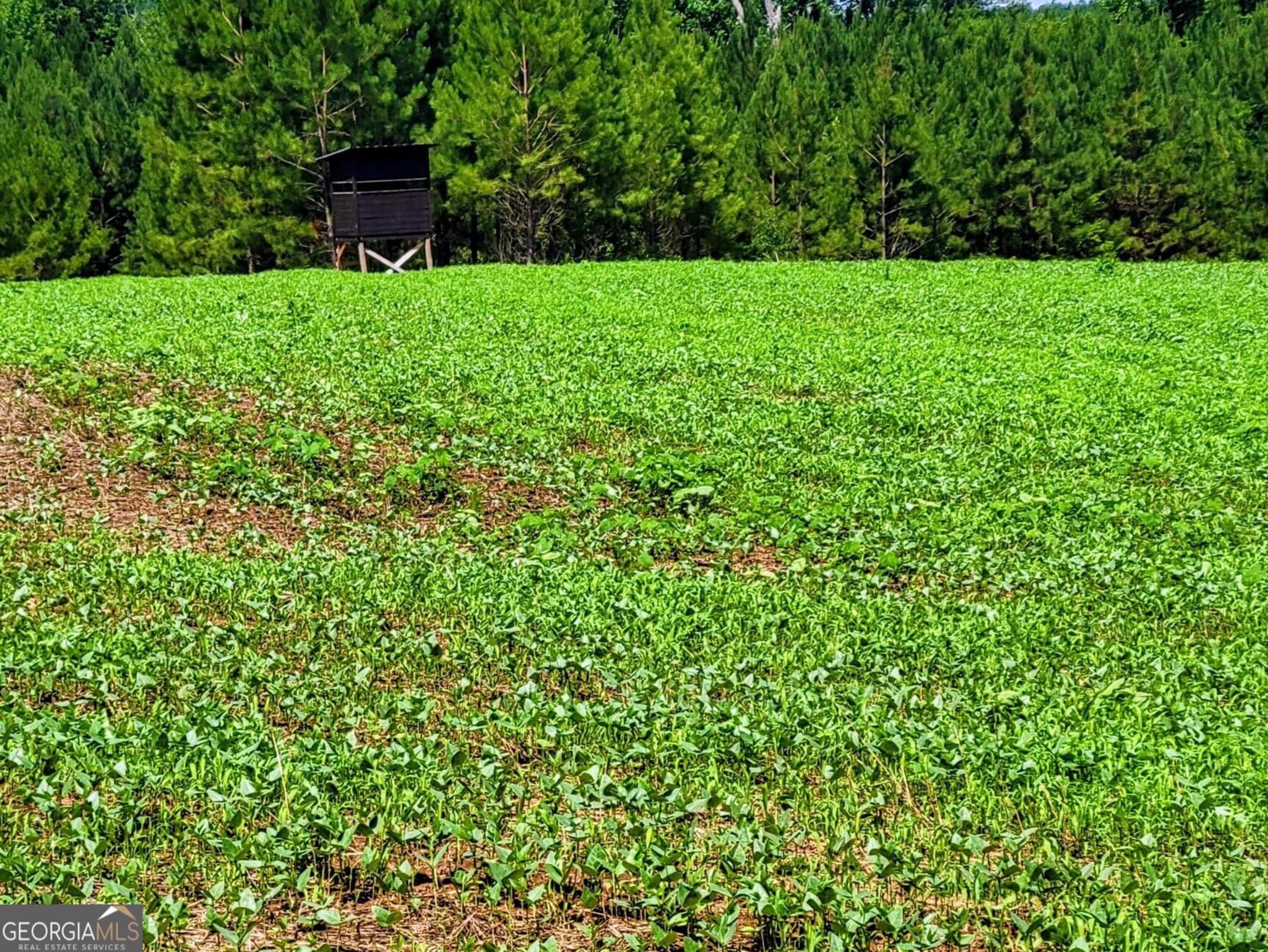 80 Highway Culloden, GA 31016 - Photo 39 of 104