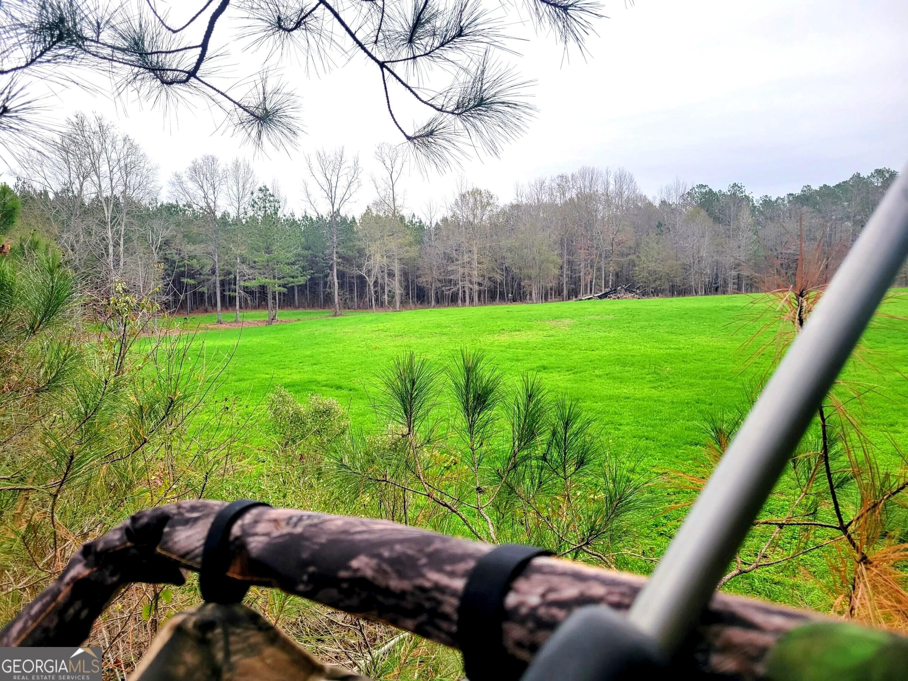 80 Highway Culloden, GA 31016 - Photo 4 of 104