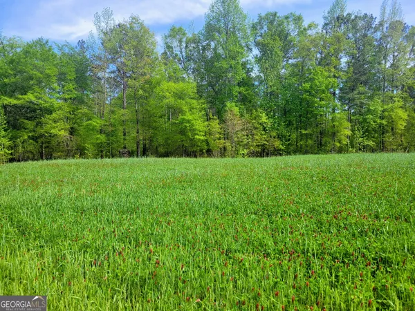 $797,500 | 80 Highway, Culloden, GA 31016