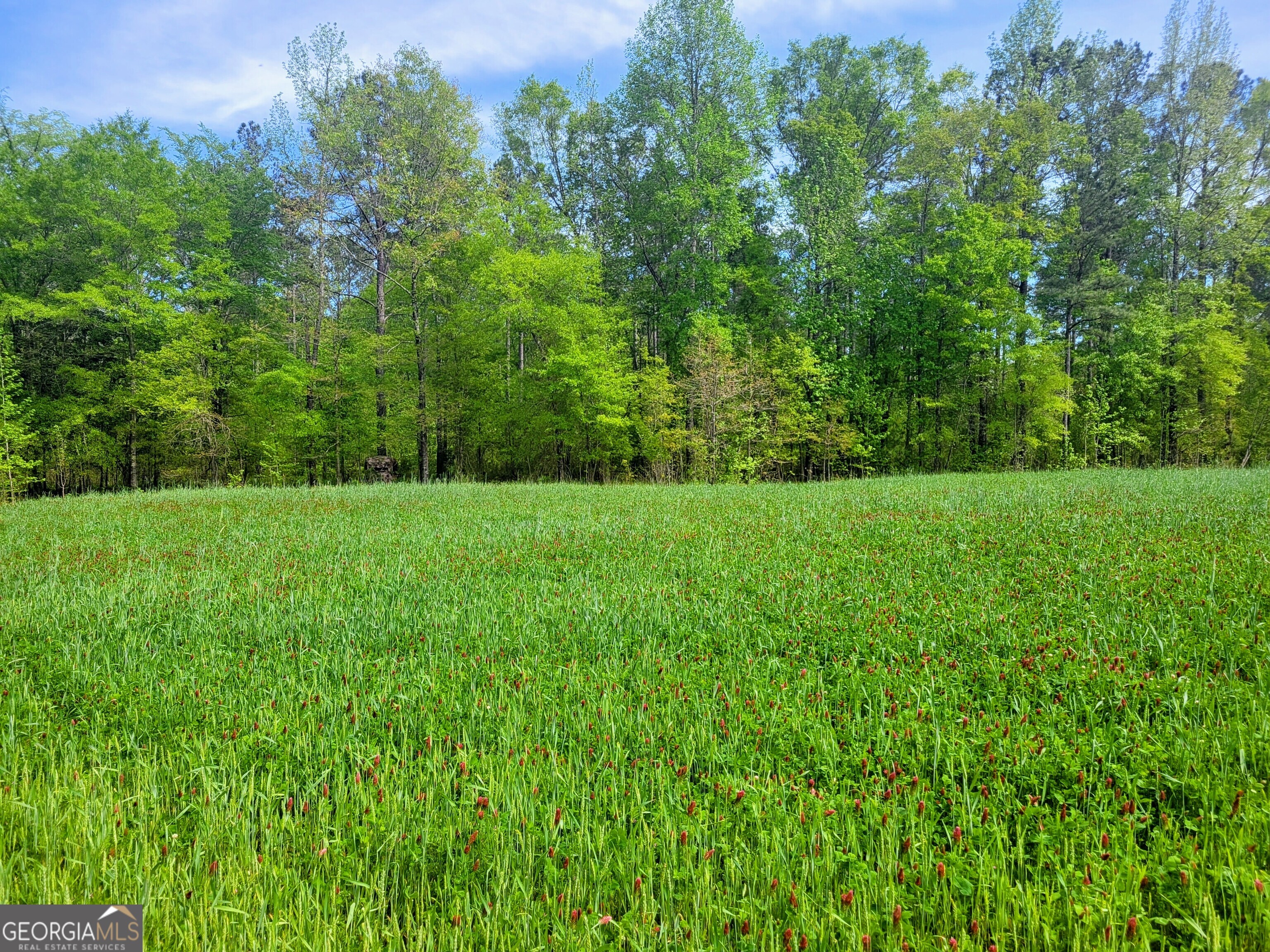 80 Highway Culloden, GA 31016 - Photo 43 of 104
