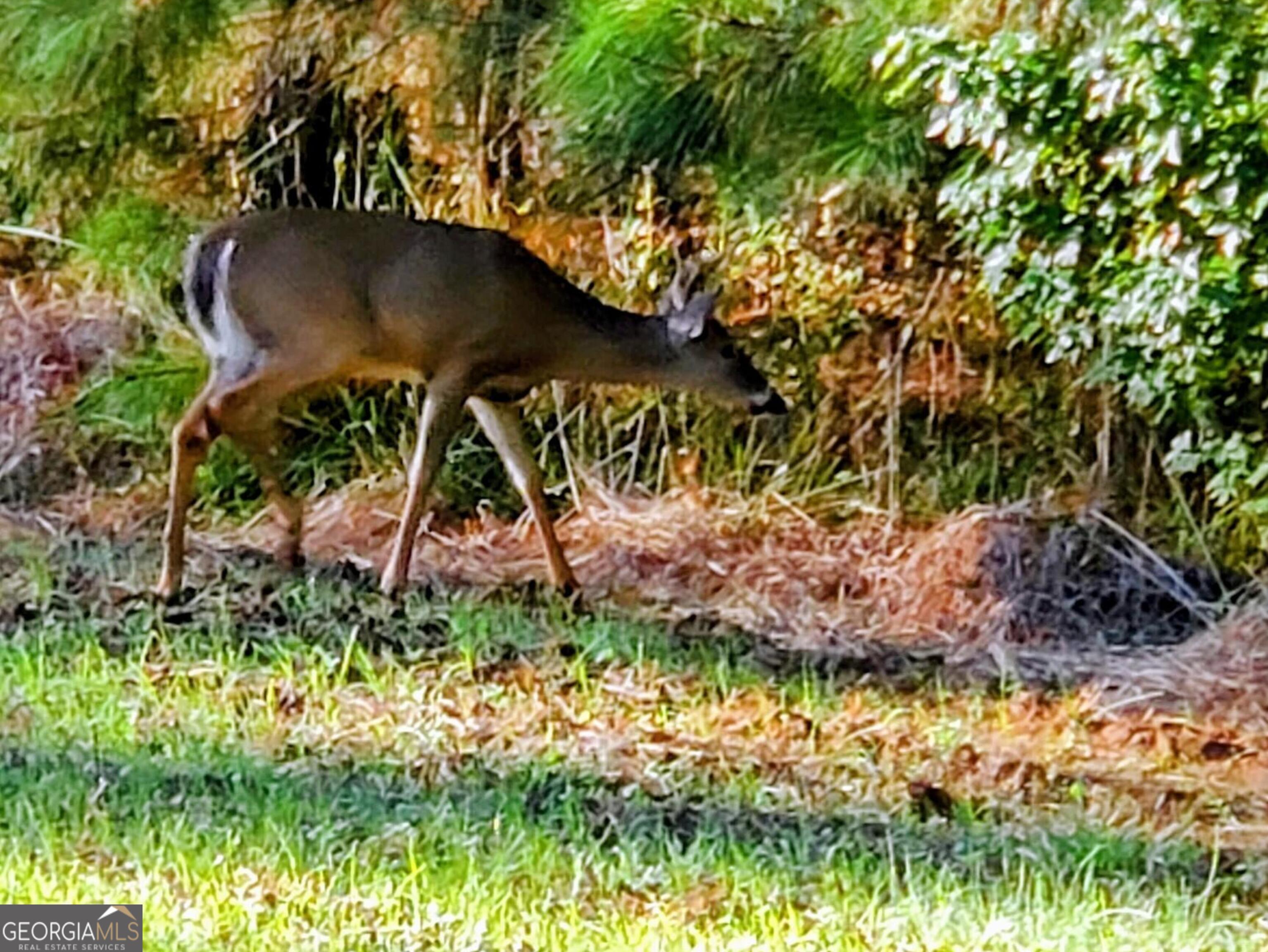 80 Highway Culloden, GA 31016 - Photo 59 of 104