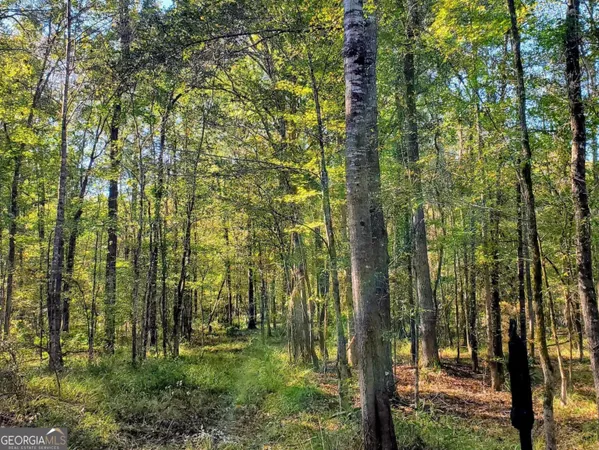 $797,500 | 80 Highway, Culloden, GA 31016
