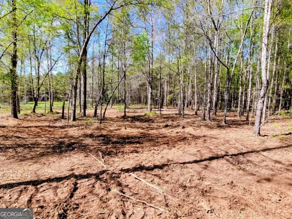 $797,500 | 80 Highway, Culloden, GA 31016