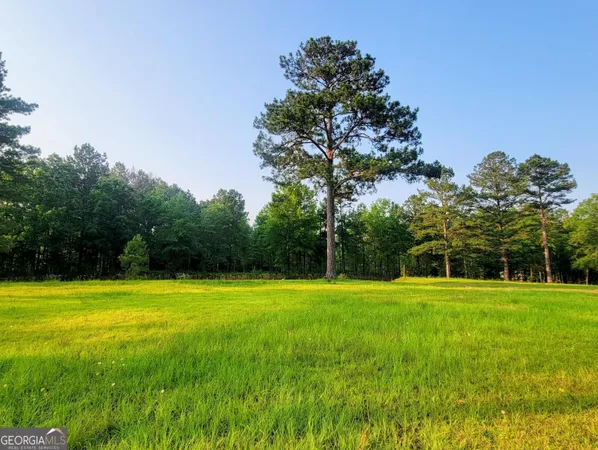 $797,500 | 80 Highway, Culloden, GA 31016