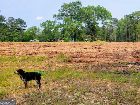 $797,500 | 80 Highway, Culloden, GA 31016