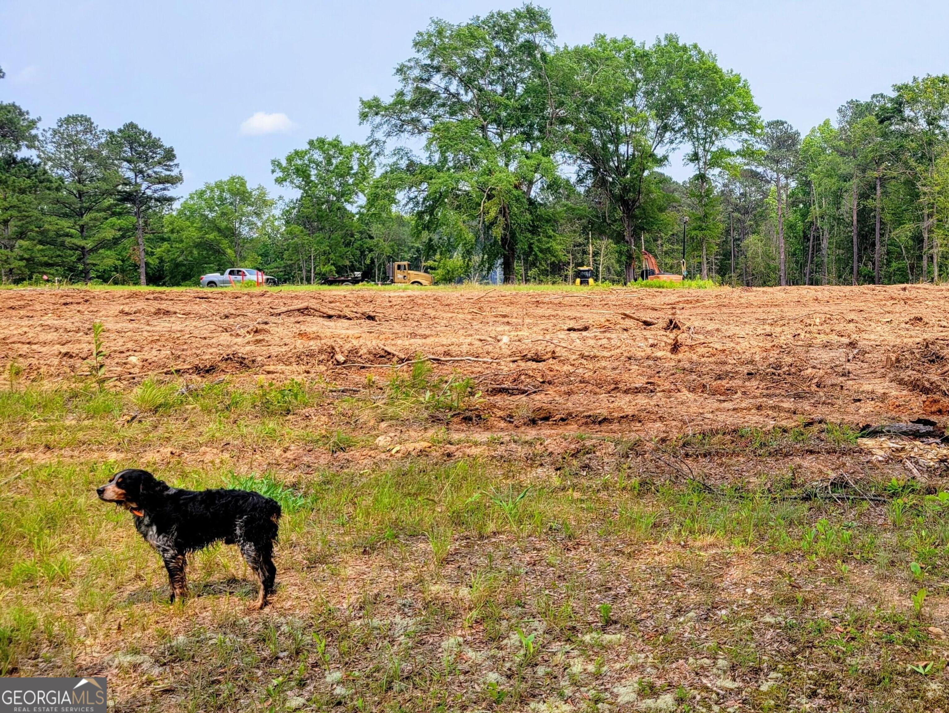 80 Highway Culloden, GA 31016 - Photo 91 of 104