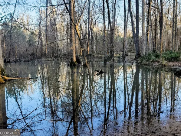 $797,500 | 80 Highway, Culloden, GA 31016