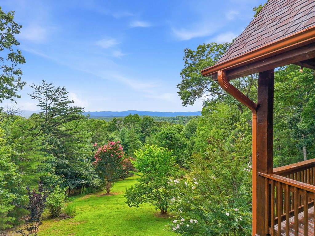 516 Endless View Road Mineral Bluff, GA 30559 - Photo 55 of 55