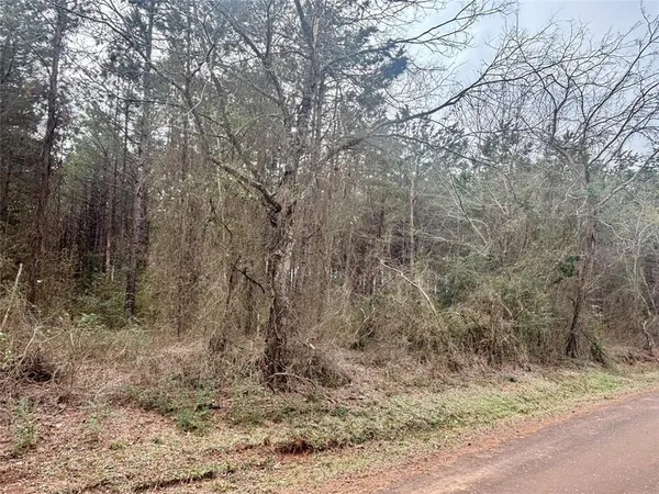 a view of a dry yard with trees in the background