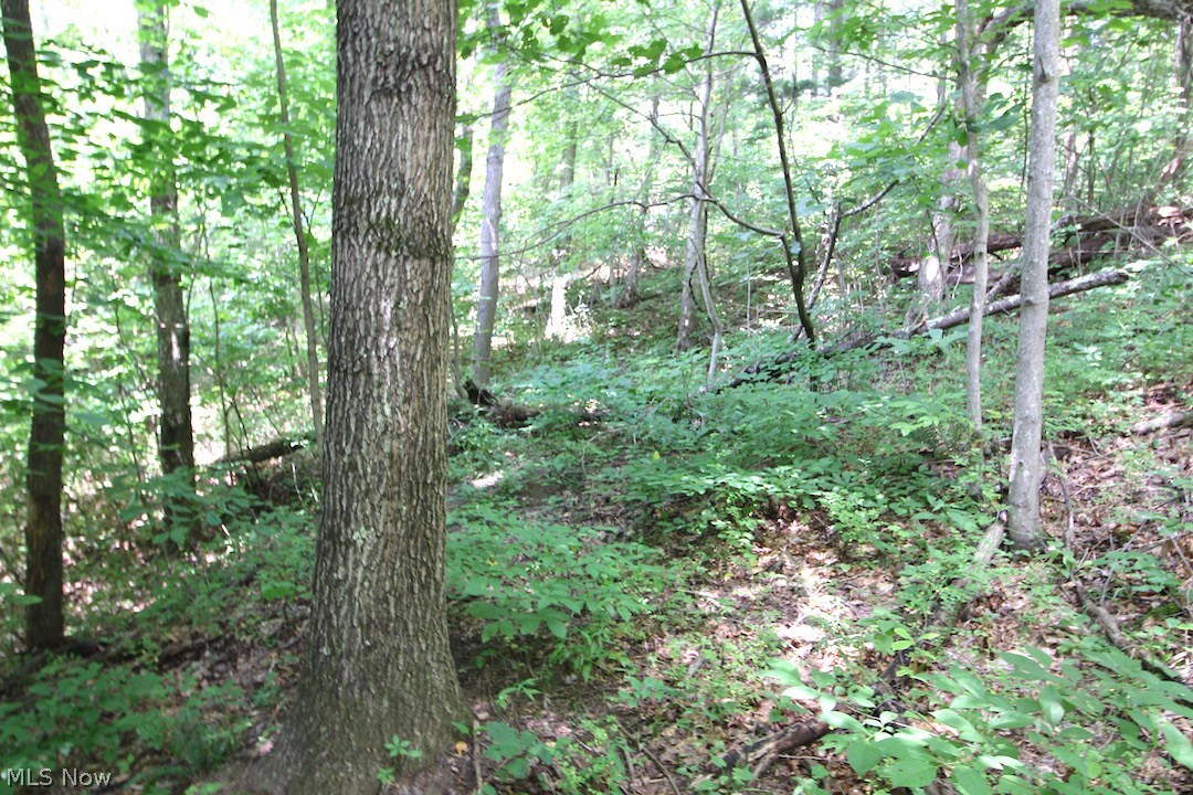 Mt Hope Ridge Rd Road Graysville, OH 45734 - Photo 14 of 35 Gallery Image 14