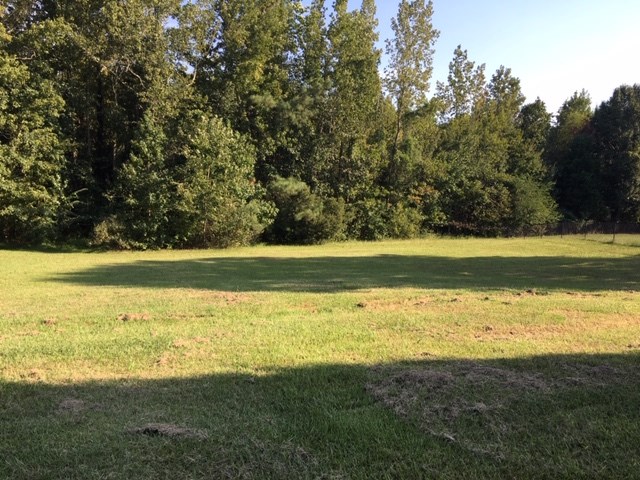 1288 Central Church Road Midland, GA 31820 - Photo 21 of 21 Gallery Image 21