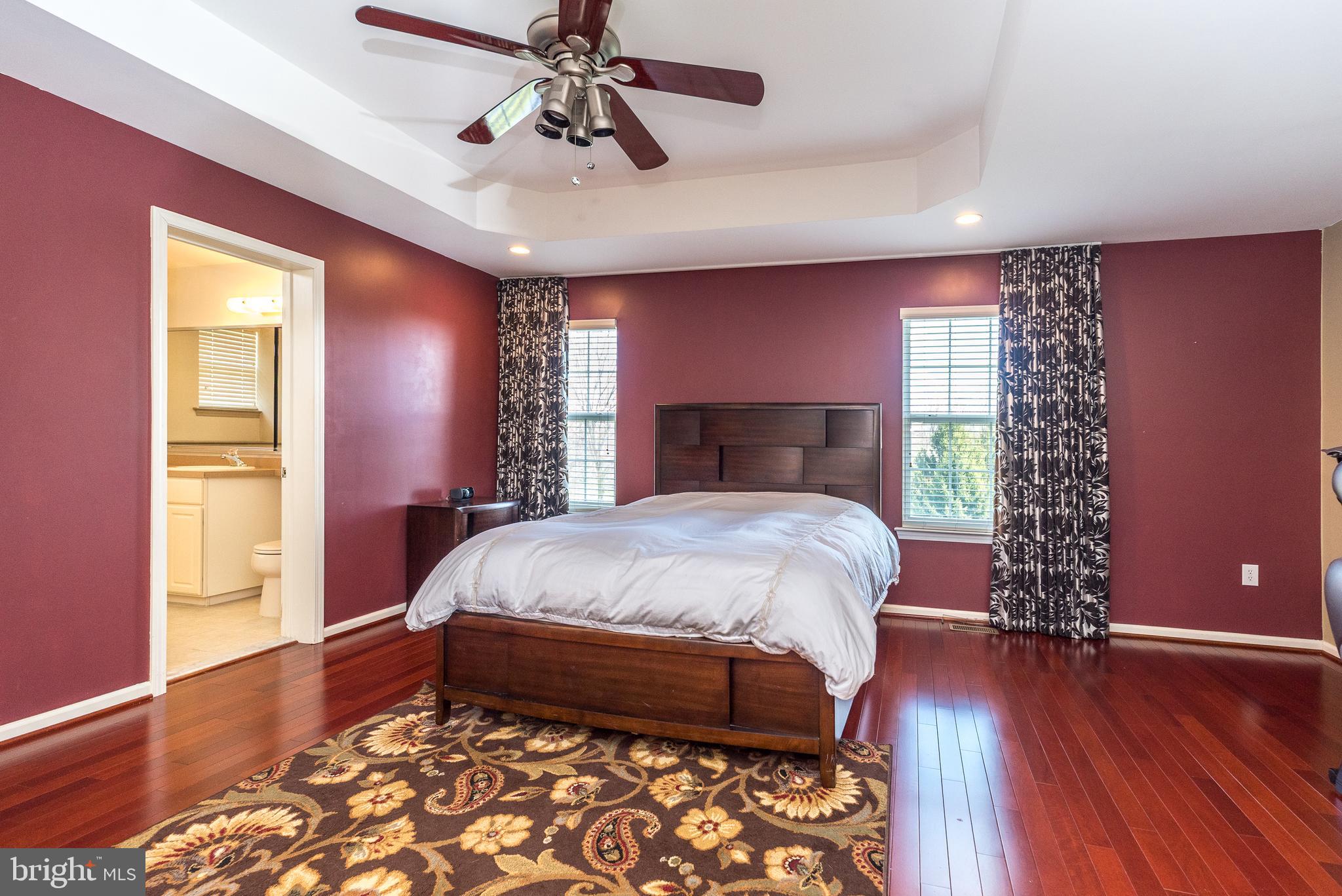 201 Summer Ridge Circle Chalfont, PA 18914 - Photo 54 of 94 Tray ceiling and ceiling fan