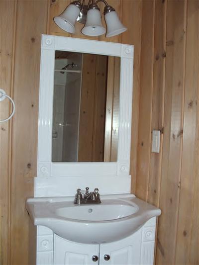 8 West Thomas Road Shelby, MI 49455 - Photo 4 of 5 Additional Photo