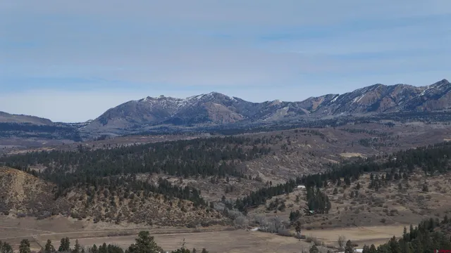 a view of a swimming pool with a lounge chair