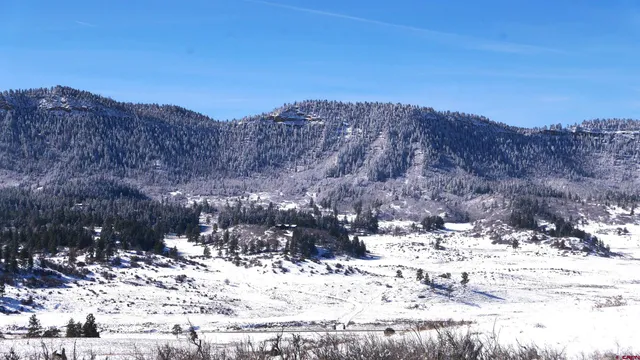 a view of a dry yard covered with snow