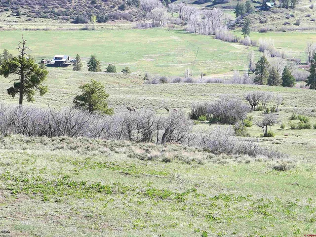 a view of a lake with a beach
