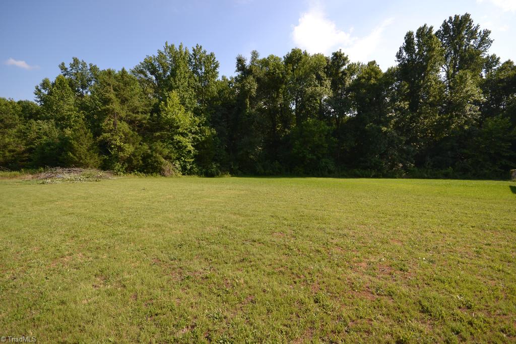 344 Deerfield Country Road Randleman, NC 27317 - Photo 28 of 30 Yard