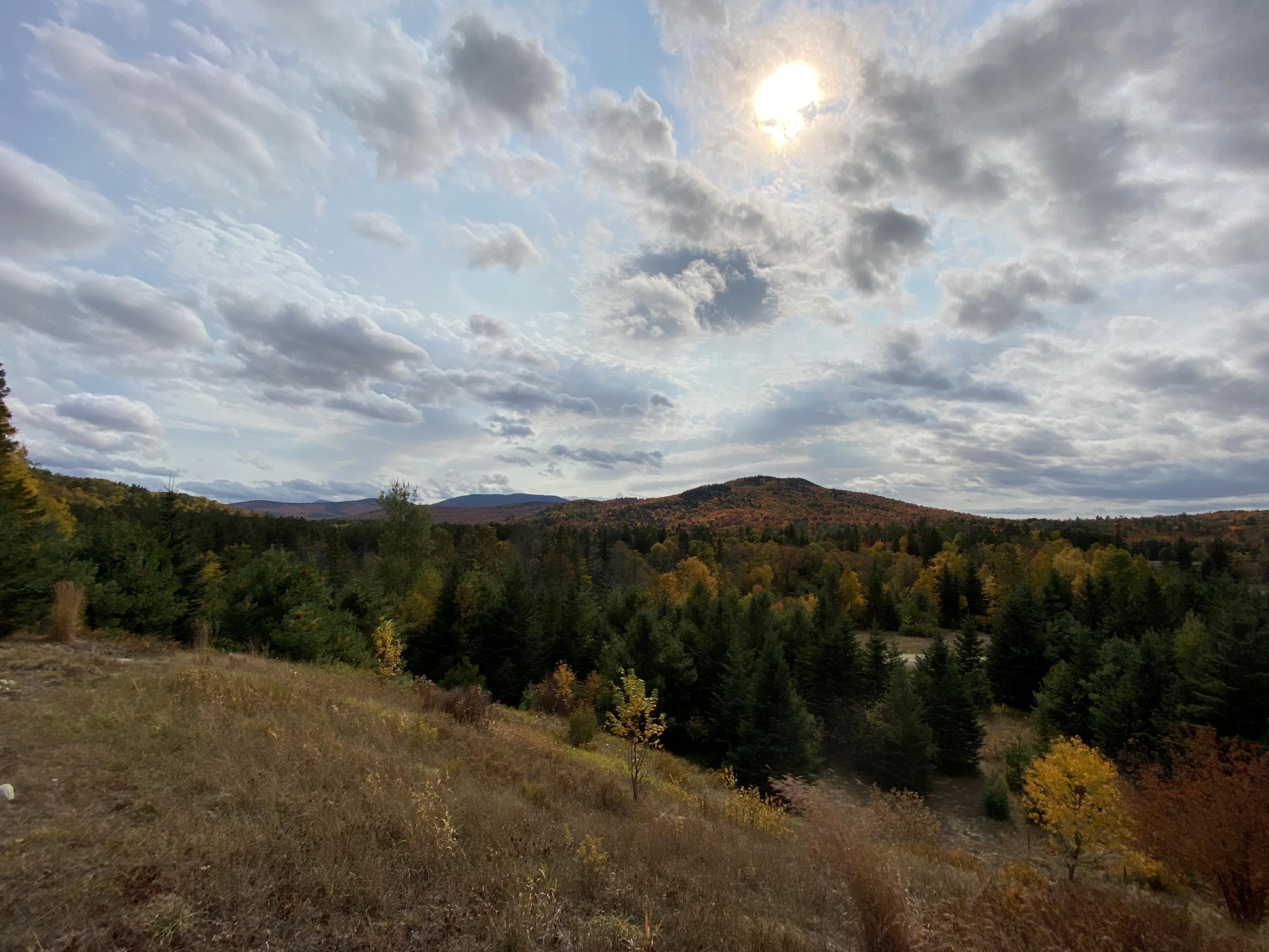 14 Appalachian Road Stratton, ME 04982 - Photo 17 of 38 Fall view