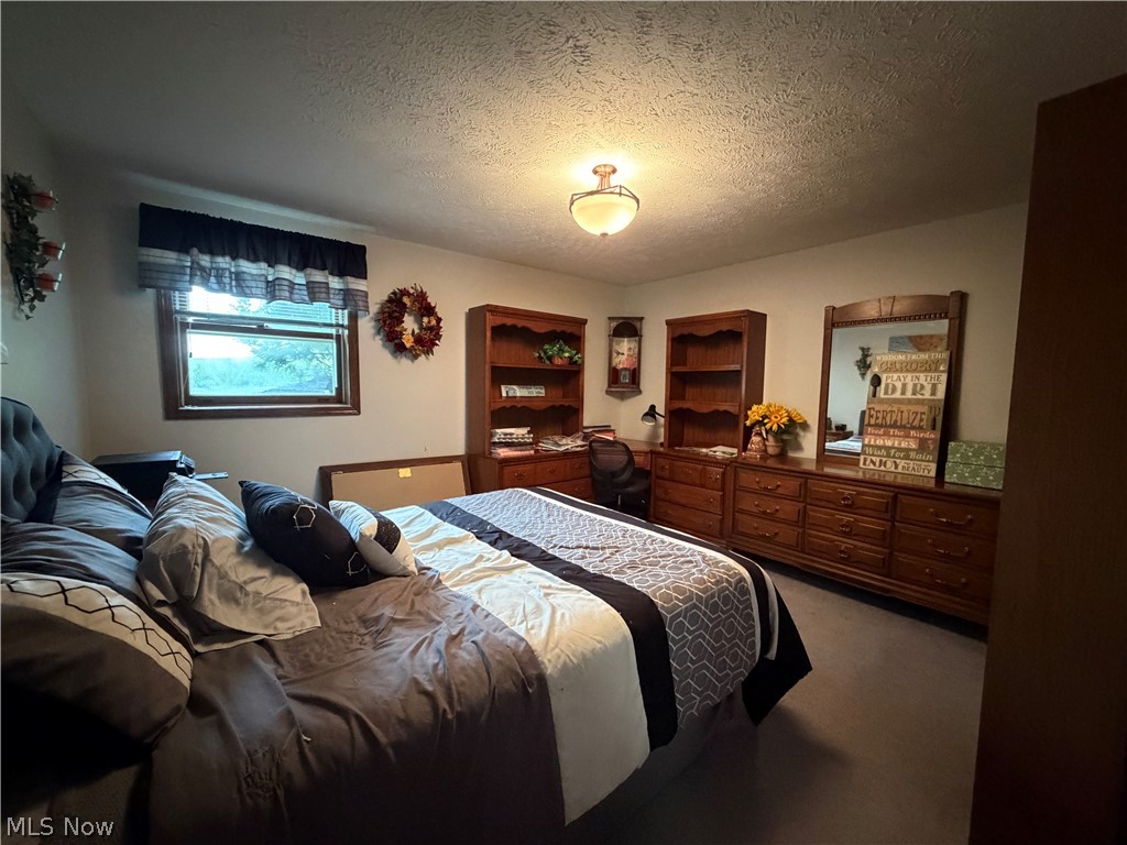 9399 Stump Road Minerva, OH 44657 - Photo 46 of 47