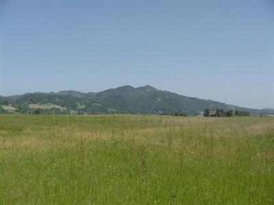 1649 Geysers Road Geyserville, CA 95441 - Photo 7 of 7 Gallery Image 7