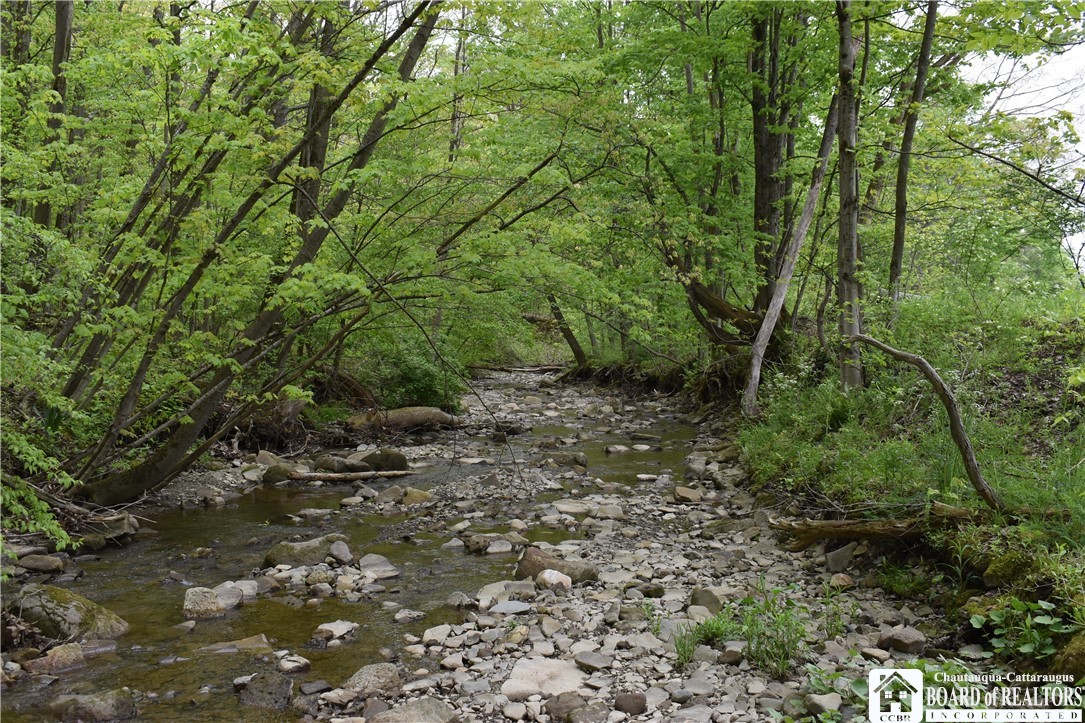 0 Harris Hollow Road Gerry, NY 14740 - Photo 2 of 23