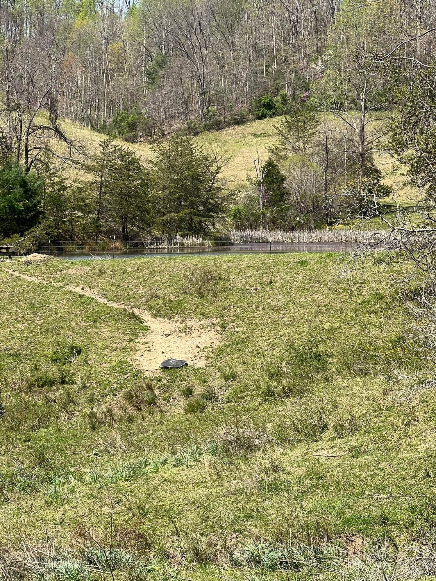 1 Dunn Road Campton, KY 41301 - Photo 38 of 69 IMG_7889