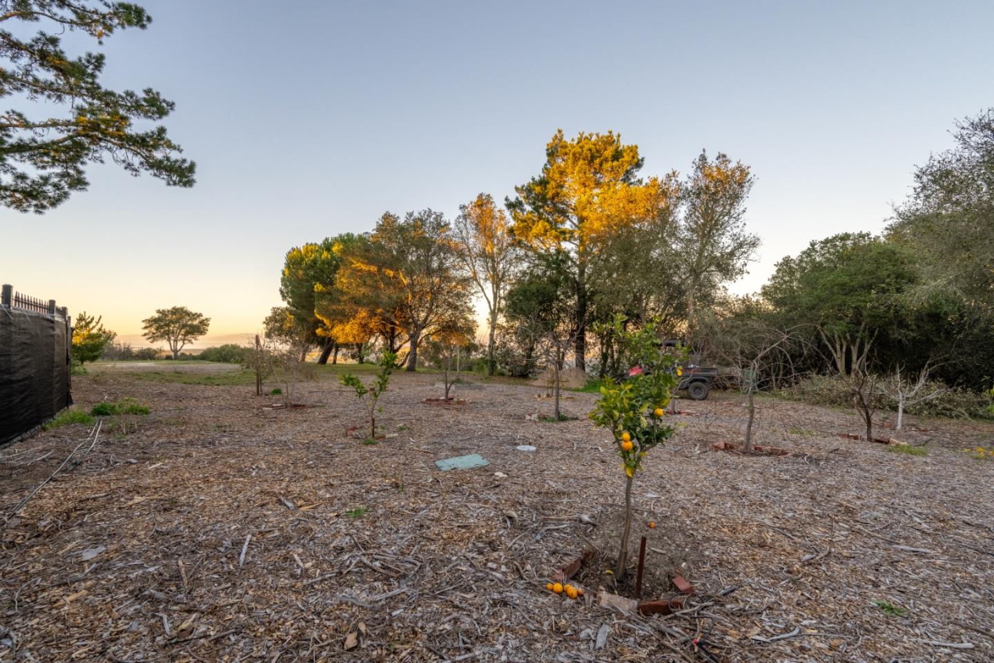 12167 Saddle Road Carmel Valley, CA 93924 - Photo 26 of 28