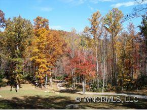 916 Long Branch Road Swannanoa, NC 28778 - Photo 21 of 24 Gallery Image 21