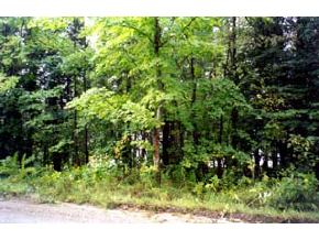 0 Daniels Pond Road Glover, VT 05883 - Photo 5 of 8