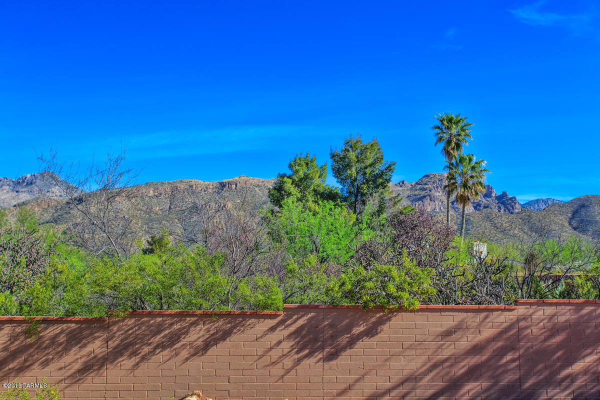 9041 East Snyder Road Tucson, AZ 85749 - Photo 11 of 26 Gallery Image 11